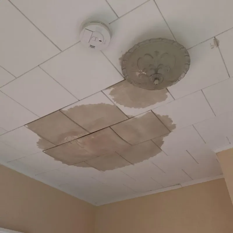 Ceiling Water Damage Repair in Mission, SD