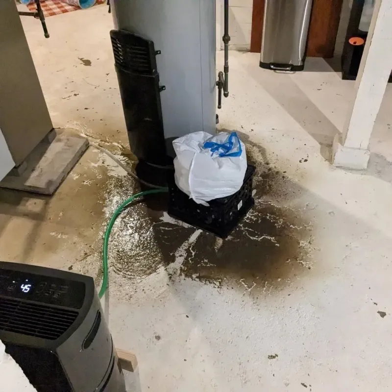 Sewage Backup Cleanup Service in Mission, SD